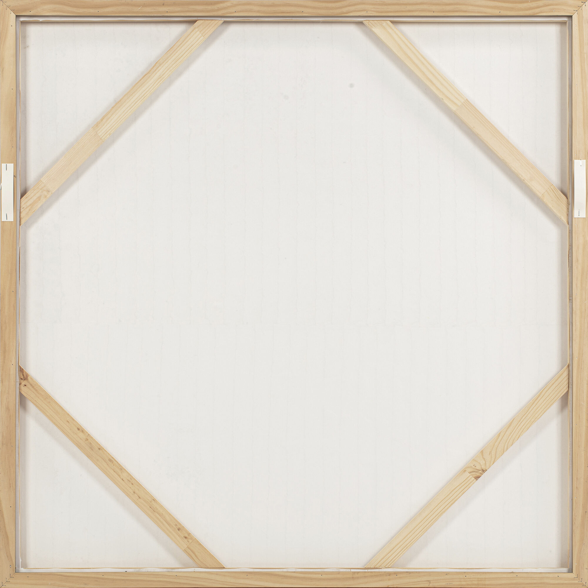 Willet 40 X 40 inch Framed Painting